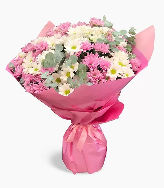 Ümraniye Bloom Pink Daisy | Can Çiçekçilik